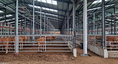 홍천군, 소규모 축사 분뇨 처리 지원…악취·수질오염 해소