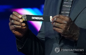 월드컵 응원단 어쩌나…美입국제한에 세네갈·코트디부아르 난감