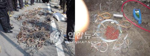 원주지방환경청, 밀렵 신고 포상제도 연중 가동…최대 500만원