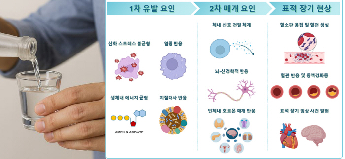 술 한 잔도 심장엔 '독'…심방세동 위험 증가, 폭음 시 급상승