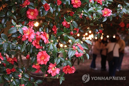 제주 맑다가 차차 구름 많아져…낮 최고 12∼16도
