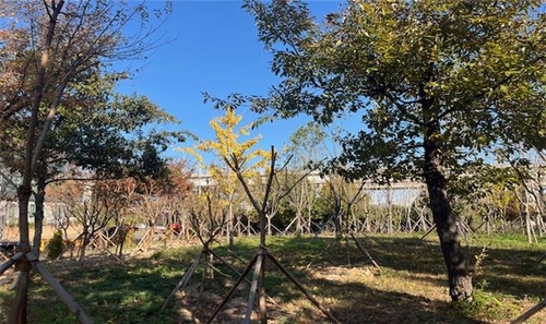 울산 신일반산단에 도시숲 조성…나무 1만6천여그루 심어