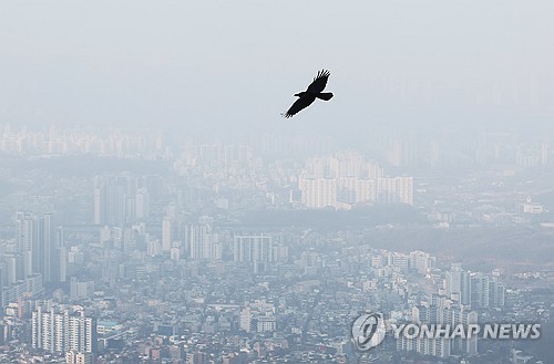중부 내륙 중심 짙은 안개…충청·영남은 오전 미세먼지 짙어