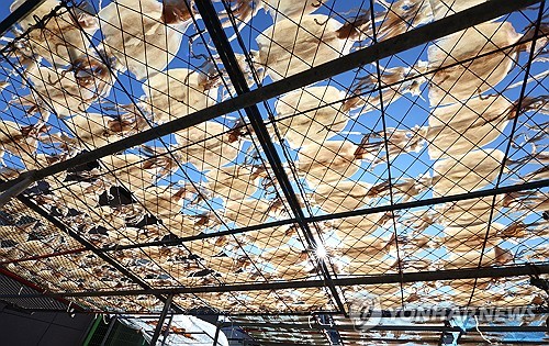 [내일날씨] 전국 흐리고 남해안엔 비…낮 최고 16도 포근