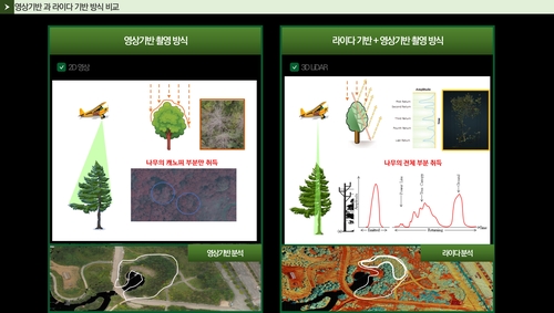 임업진흥원, '헬기 라이다' 활용 소나무재선충병 사전 조사