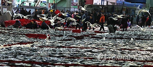 부산공동어시장, 반세기 만에 '현대화'…내일 착공식