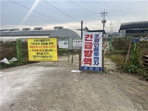 천안시, 고병원성 AI 전담관 지정 등 방역 대응 강화