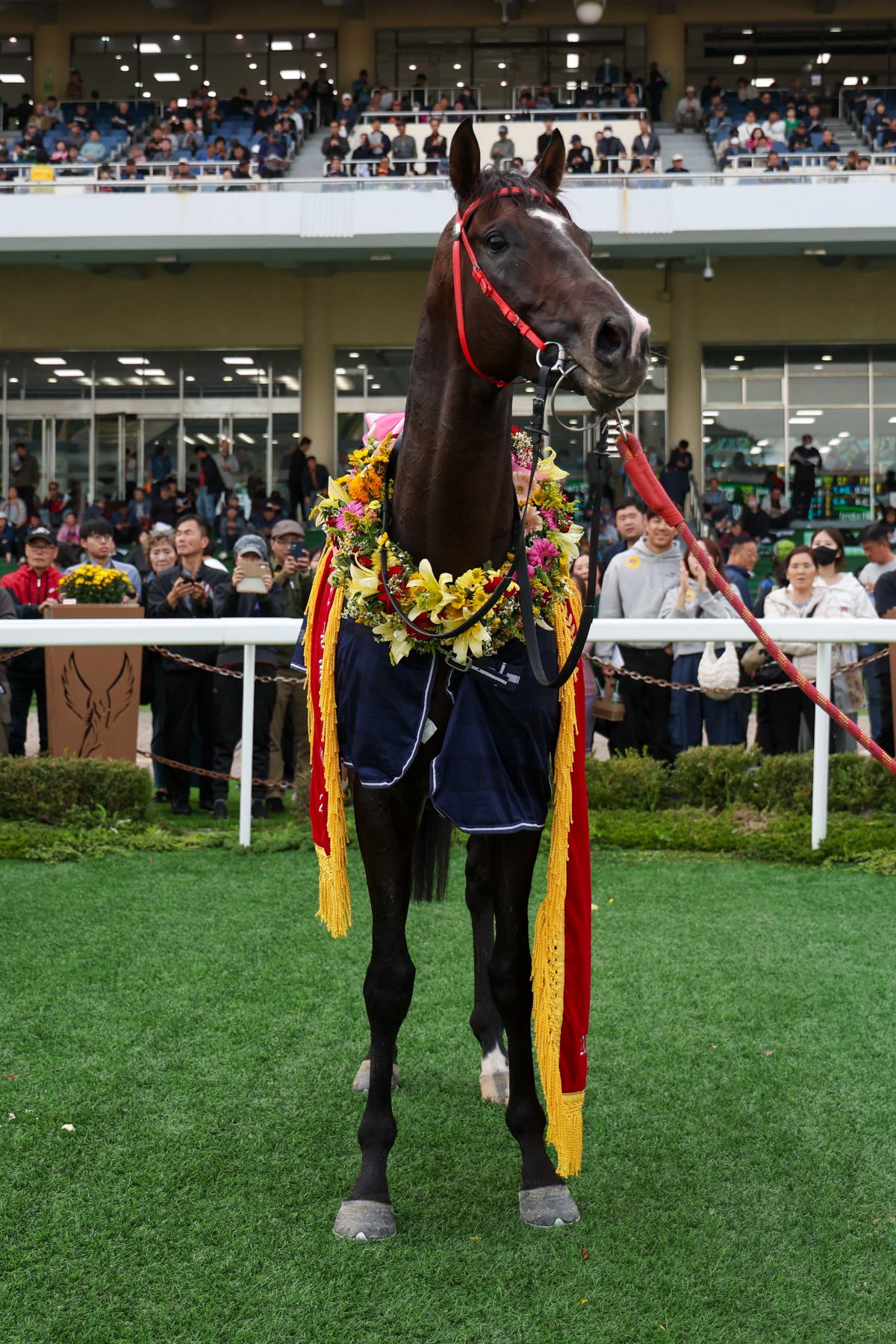 2025 대표마는 스피드영…연도대표상 시상식 개최