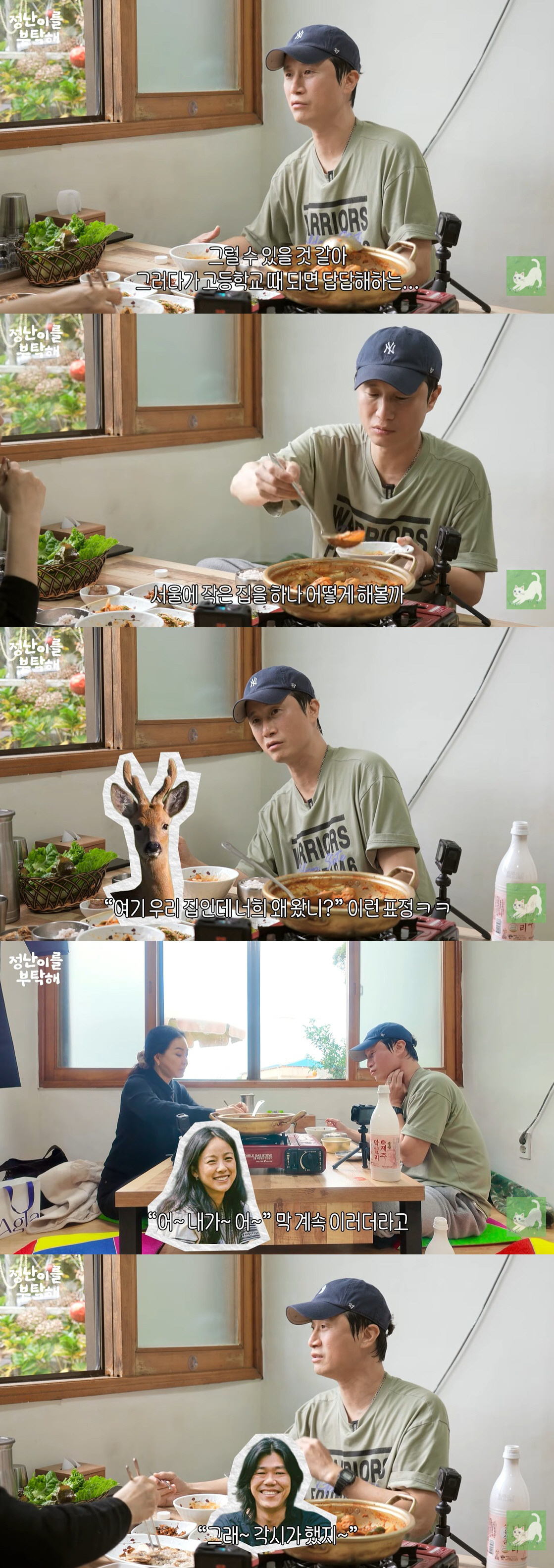 이효리♥이상순은 떠났는데…'이웃' 송새벽, 13년째 제주살이 "마당에 노…