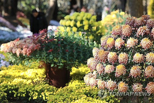 제주 대체로 흐림…낮 최고 19∼20도