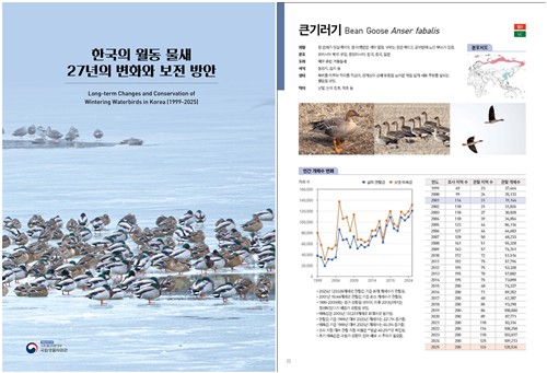 27년간 우리나라 찾는 겨울 철새 어떻게 변했나…보고서 발간
