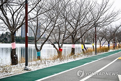 대구·경북 흐림, 남부동해안 밤 빗방울…낮 기온 9∼16도