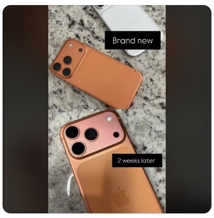 [레딧 캡처. 재판매 및 DB 금지]