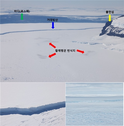 황제펭귄 새끼들의 비극…"거대 빙산에 막혀 굶주린 70% 사라져"