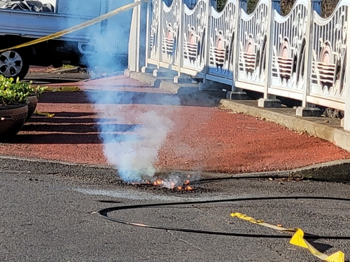 제주서 도로 조경 공사 중 고압선 절단…452가구 정전