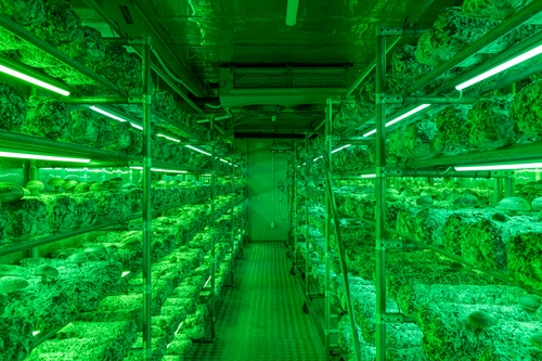 '은화고' 등 부산 사회적경제 우수상품 10선 선정