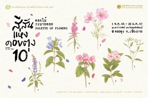 [여행소식] 태국관광청 "태국 북부는 꽃 만발"