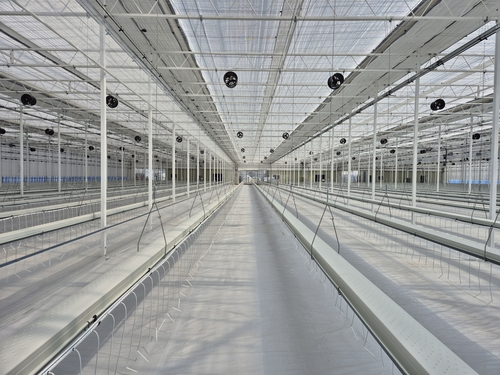 인천 강화도에 임대형 첨단 농업단지 조성…청년 영농인 지원