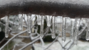 전남 장성서 이번 동절기 첫 한랭질환 사망자 추정·신고…고령층 체온 조절 어려운 이유는?