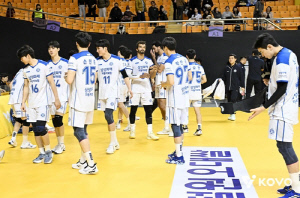 프로배구 삼성화재·페퍼의 추운 연말…연패 탈출 안간힘