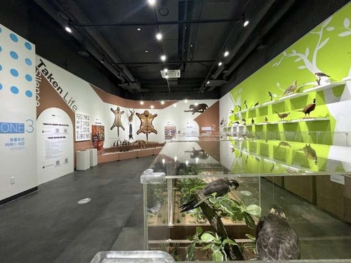 불법 포획에 위협받는 동물…대전서 '박제, 시간을 기록하다'展