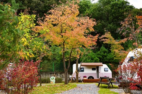 '청량산 수원캠핑장' 시범운영 이용률 94%…내년 4월 개장