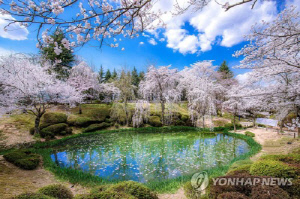 마라톤 인기에 사이트 마비…경주벚꽃마라톤 신청 이달말로 연기