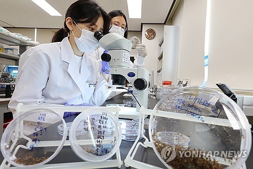 국내 말라리아 환자 2020년 이전 수준으로 감소