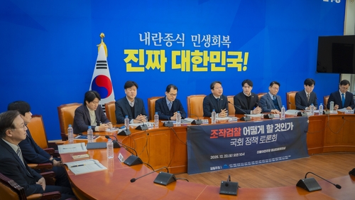 검찰개혁 자문위원들 "檢 보완수사권도 안돼"…민주당 토론회