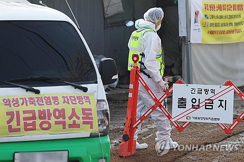 진천 메추리 농장서 H5형 AI 항원 검출…고병원성 검사 중