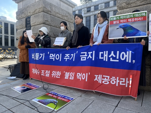 "'비둘기 먹이 주기 금지'는 동물학대"…동물단체, 헌법소원