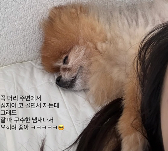 '박성광♥' 이솔이 "거친 기침 반복..지쳐 쓰러질까 걱정"..'심장병'…