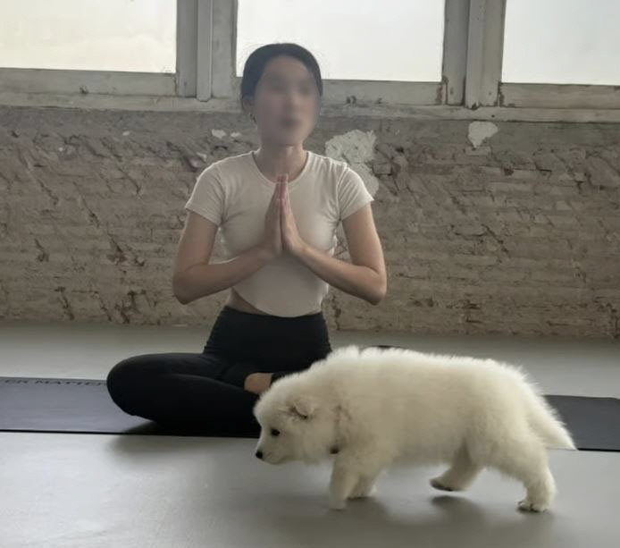 "배 위에 올라타도 행복"…강아지들과 요가, '힐링 체험' 화제