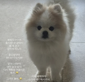 '박성광♥' 이솔이, 새벽마다 응급실 각오...