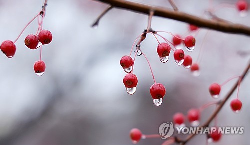 전북 오후부터 비…낮 최고 11∼14도
