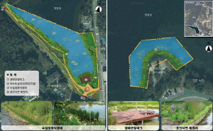 속초시, 영랑호 입구 생태계 회복 추진…국비 사업 대상지 선정
