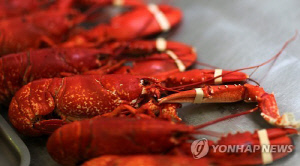 영국서 바닷가재 산채로 삶으면 불법…스위스·노르웨이도 금지