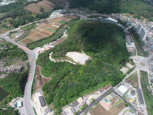 [단양소식] 매화공원에 '무장애 도시숲' 조성