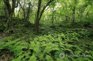 제주 '곶자왈' 보호 고향사랑기부 10억원 달성