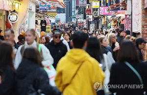 내달 4일까지 인파관리 특별대책기간…명동 등 14곳 집중관리
