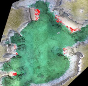 동·남해안 무인도 82곳 중 74곳에서 해양쓰레기 발견