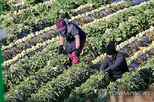 농식품부, 농어촌 기본소득·재생에너지 전담 국 신설