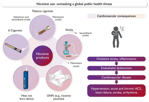 [건강포커스] "모든 니코틴은 심혈관 독소…청소년 중독 방지 대책 시급"