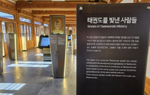 '태권도를 인류무형유산으로' 태권도단체, 대표목록 등재 신청