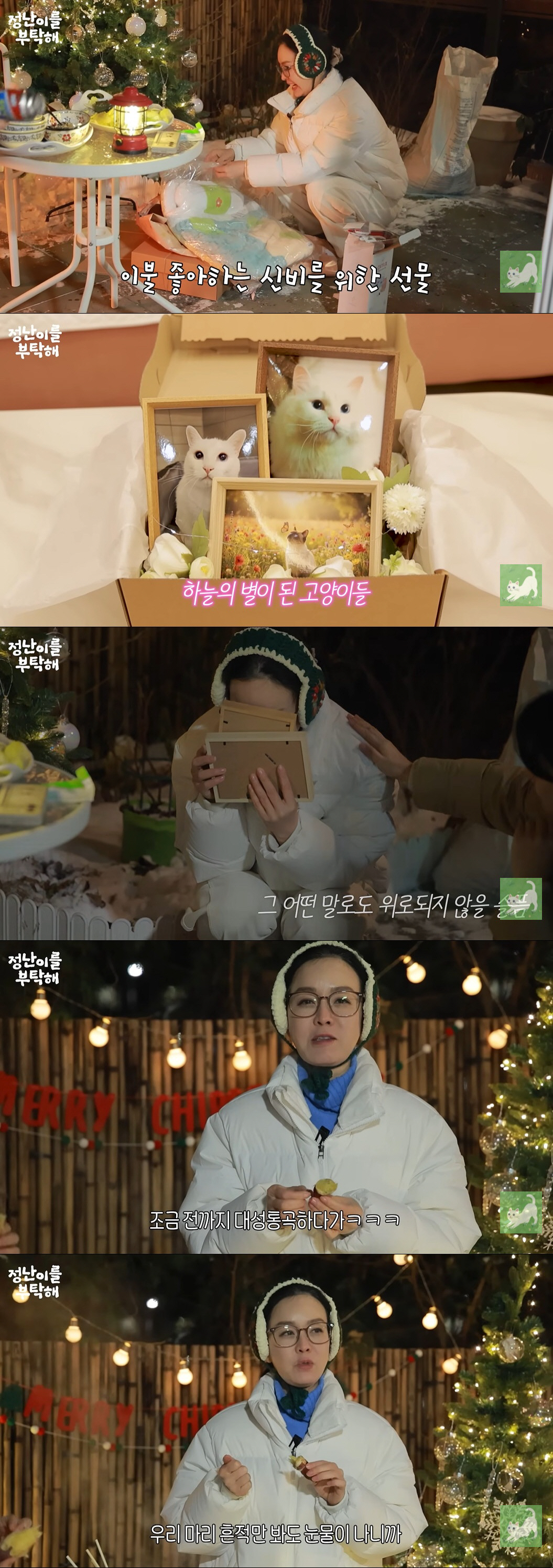 김정난, 이별 아픔 극복 못했다...크리스마스에 오열 "하루에도 몇 번씩…