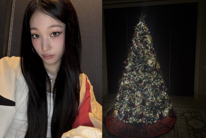 '신세계 손녀' 애니, '찐 재벌가'의 크리스마스 트리 공개 "집에 매년 있어"