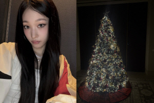 '신세계 손녀' 애니, '찐 재벌가'의 크리스마스 트리 공개 