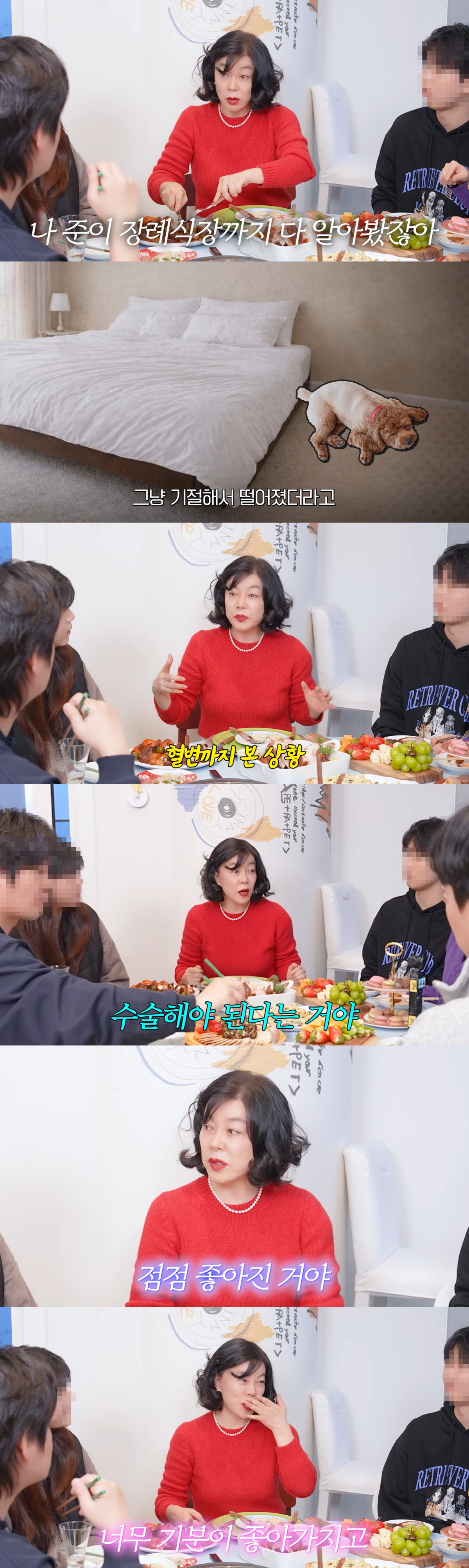 최화정 "장례식장 알아보고 활동 중단도 고민"..위독했던 반려견 생각에 …