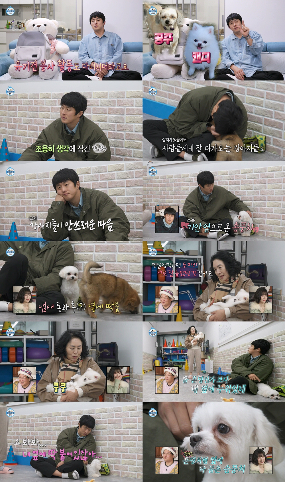 '41세' 기안84, 운명의 상대 만났다 "내 옆으로 와"...유기견 입…