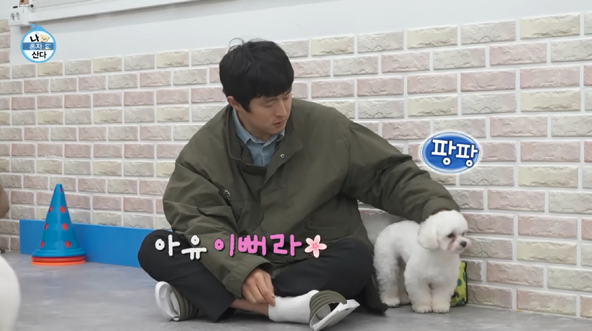 '41세' 기안84, 운명의 상대 만났다 "내 옆으로 와"...유기견 입…